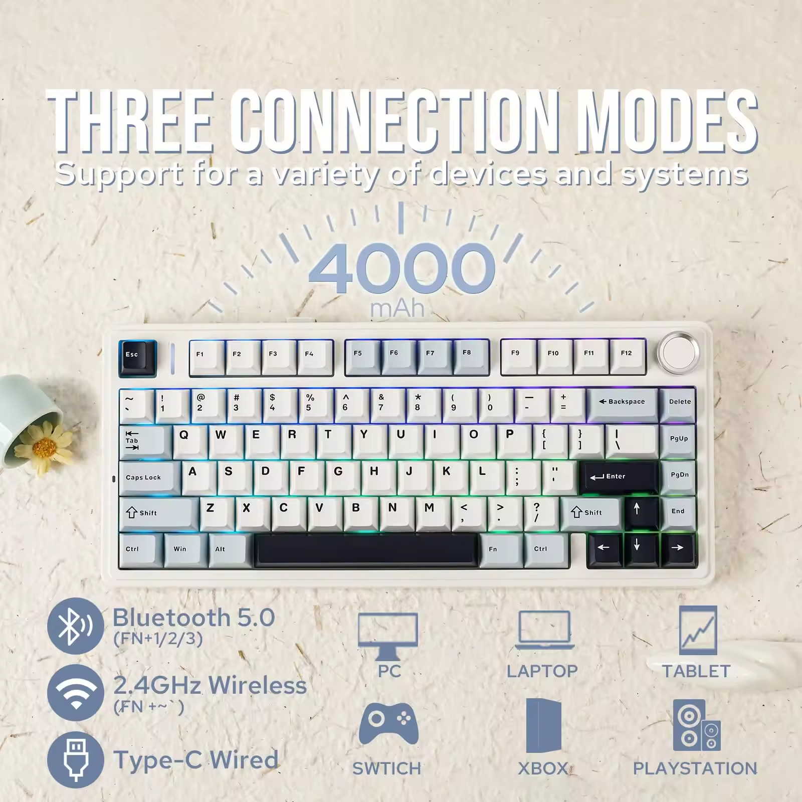 Shopping Sites International W - Gaming Accessories Shop 评论和价格